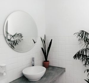bathroom with mirror and plants